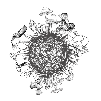 OXYGENIC WHITLEY BAY